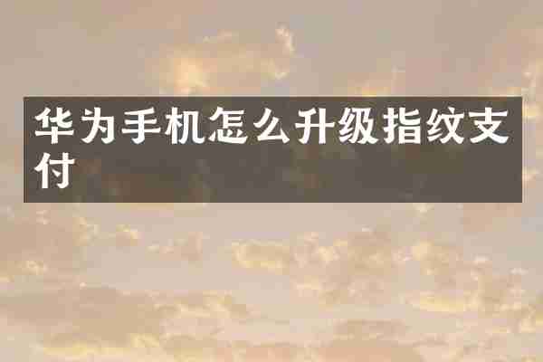 华为手机怎么升级指纹支付