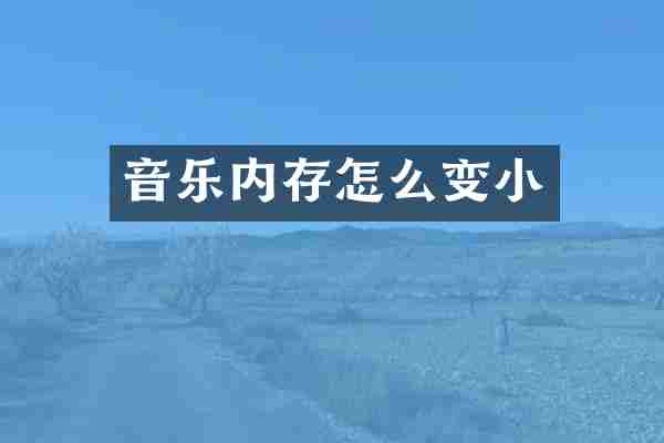 音乐内存怎么变小