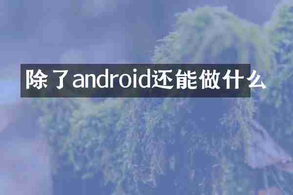 除了android还能做什么