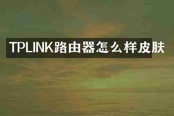 TPLINK路由器怎么样皮肤