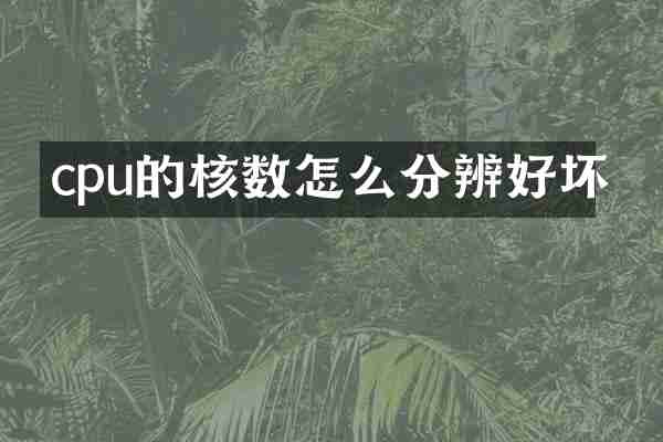 cpu的核数怎么分辨好坏