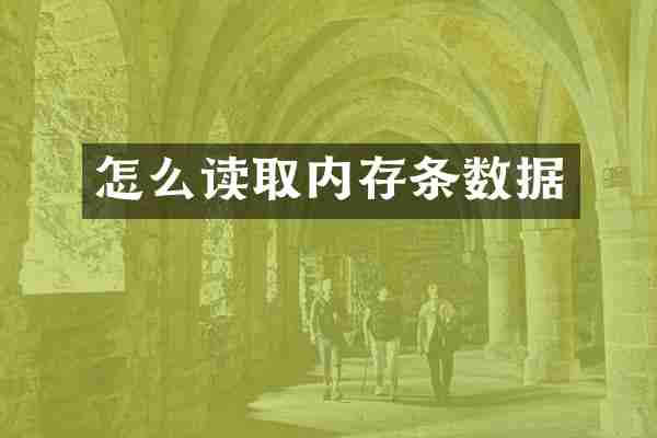 怎么读取内存条数据