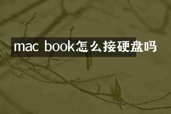 mac book怎么接硬盘吗