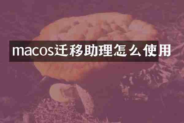 macos迁移助理怎么使用
