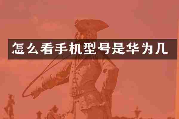 怎么看手机型号是华为几