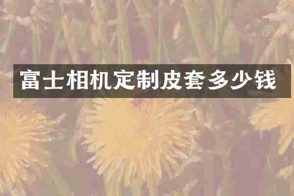 富士相机定制皮套多少钱