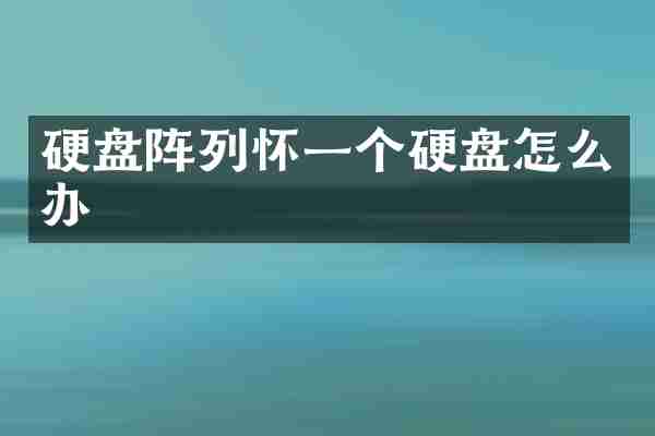硬盘阵列怀一个硬盘怎么办