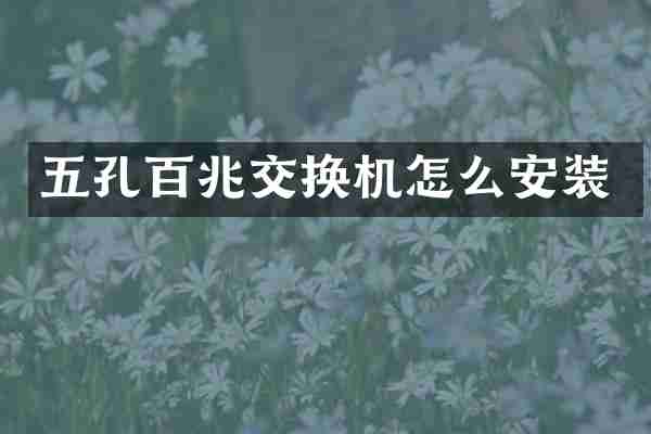 五孔百兆交换机怎么安装