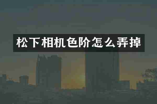 松下相机色阶怎么弄掉