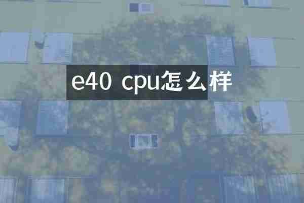 e40 cpu怎么样