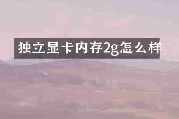 独立显卡内存2g怎么样