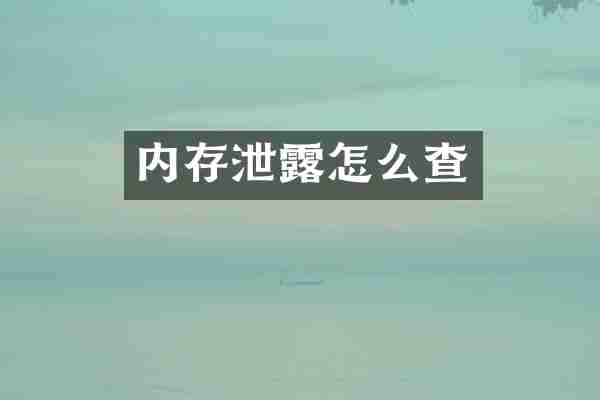 内存泄露怎么查