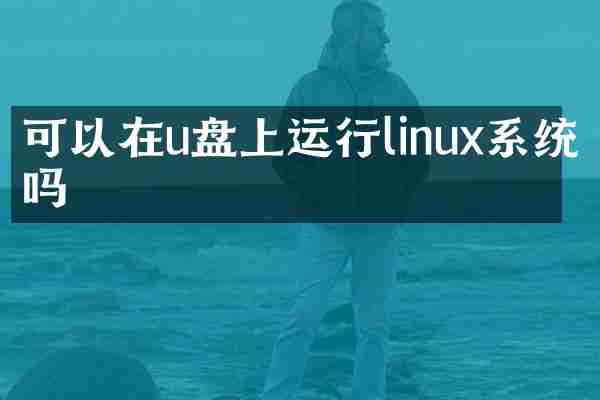 可以在u盘上运行linux系统吗