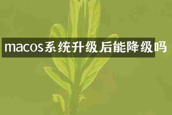 macos系统升级后能降级吗