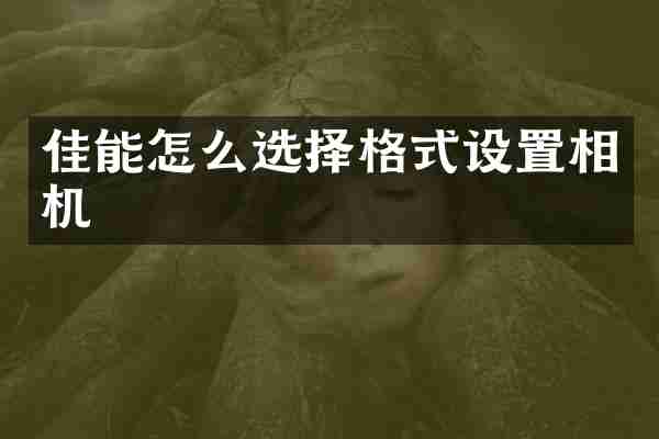 佳能怎么选择格式设置相机