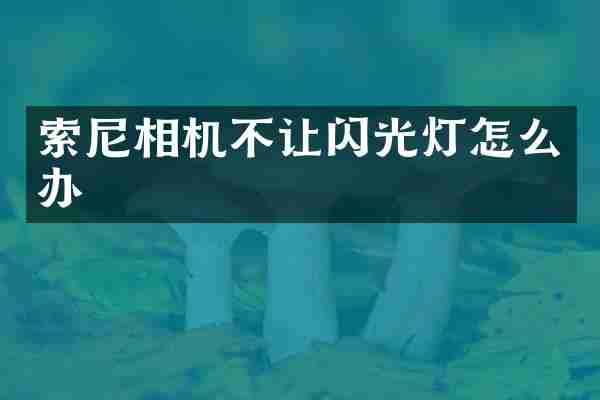 相机不让闪光灯怎么办