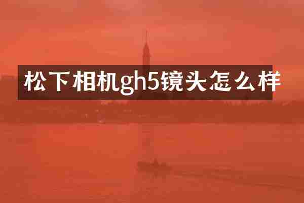 相机gh5镜头怎么样