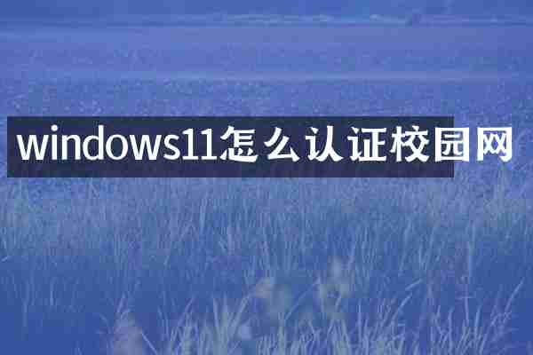 windows11怎么认证校园网