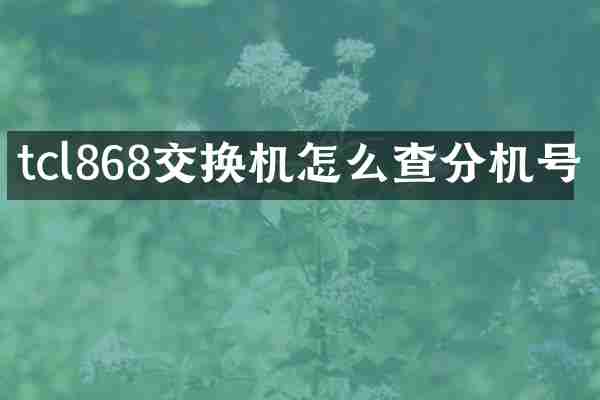 tcl868交换机怎么查分机号