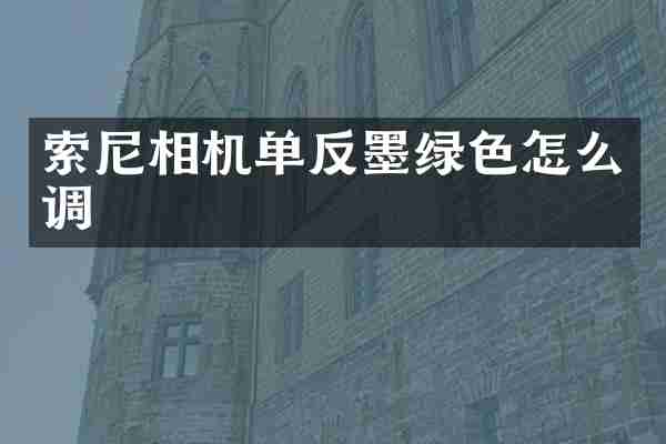 相机单反墨绿色怎么调