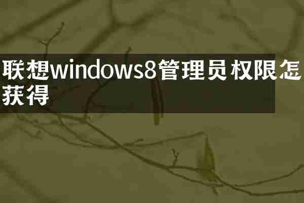 联想windows8管理员权限怎么获得