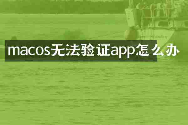macos无法验证app怎么办