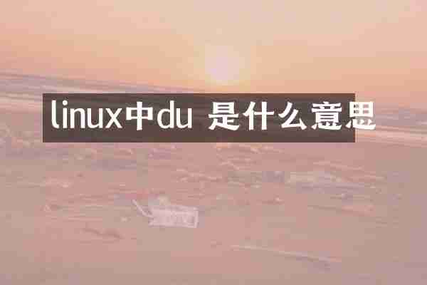 linux中du 是什么意思