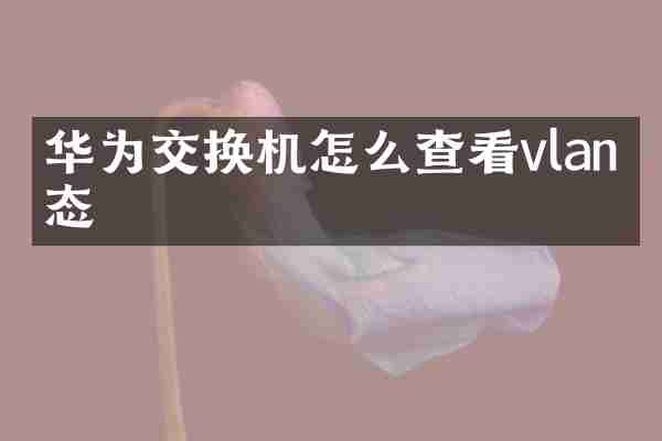 华为交换机怎么查看vlan状态
