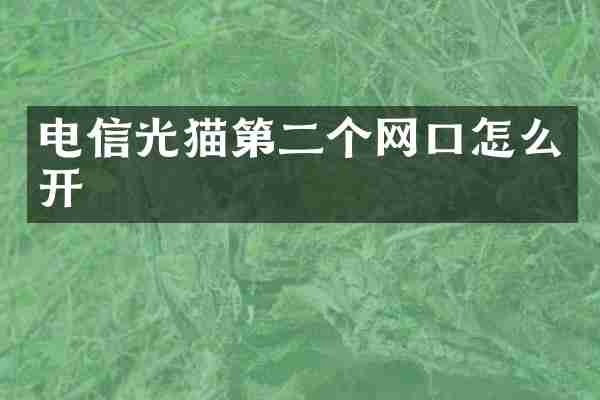 电信光猫第二个网口怎么开