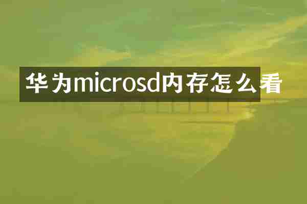 华为microsd内存怎么看