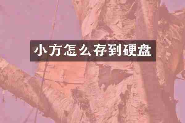 小方怎么存到硬盘