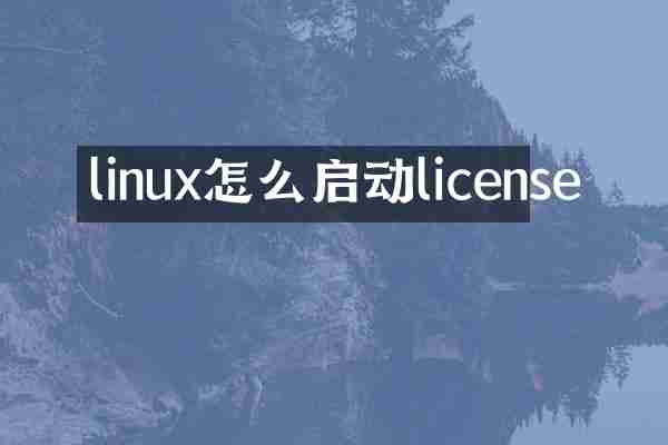 linux怎么启动license