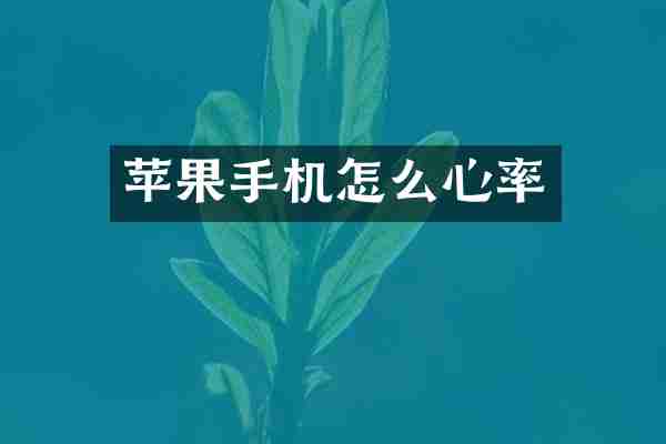 苹果手机怎么心率