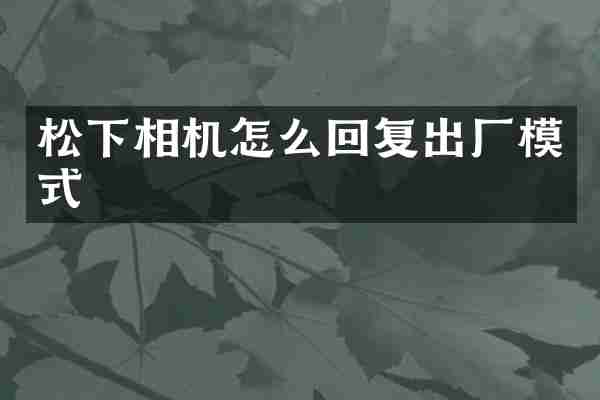 相机怎么回复出厂模式
