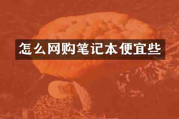 怎么网购笔记本便宜些