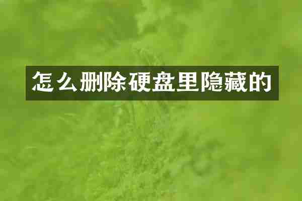 怎么删除硬盘里隐藏的