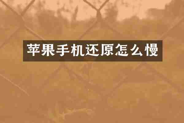 苹果手机还原怎么慢