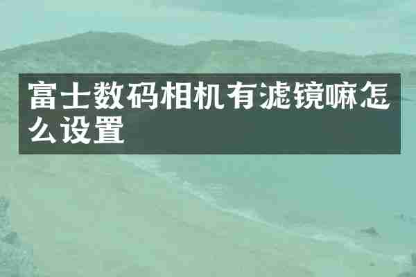 富士数码相机有滤镜嘛怎么设置