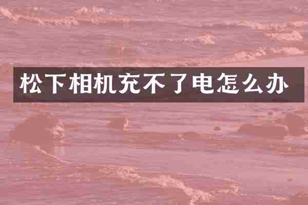 相机充不了电怎么办