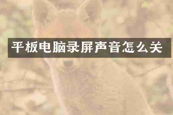 平板电脑录屏声音怎么关