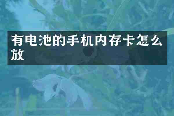 有电池的手机内存卡怎么放