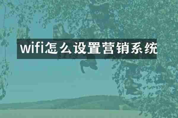 wifi怎么设置营销系统