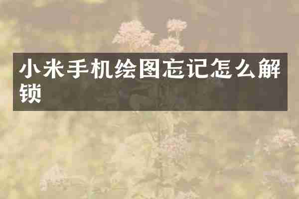 小米手机绘图忘记怎么解锁