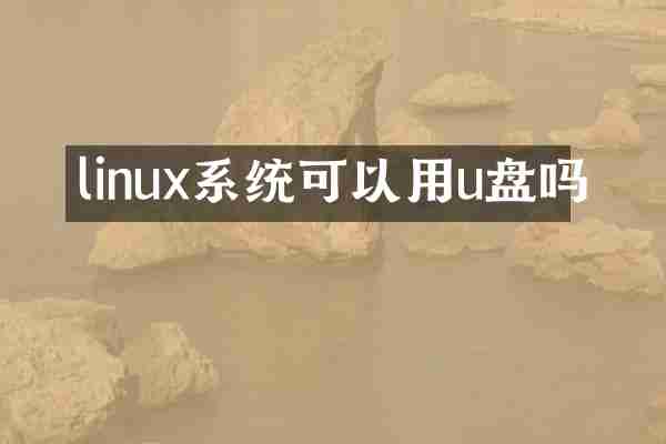 linux系统可以用u盘吗