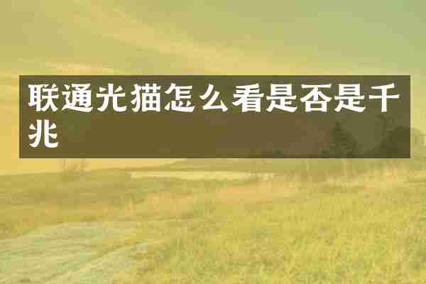 联通光猫怎么看是否是千兆