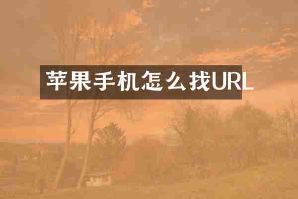 苹果手机怎么找URL