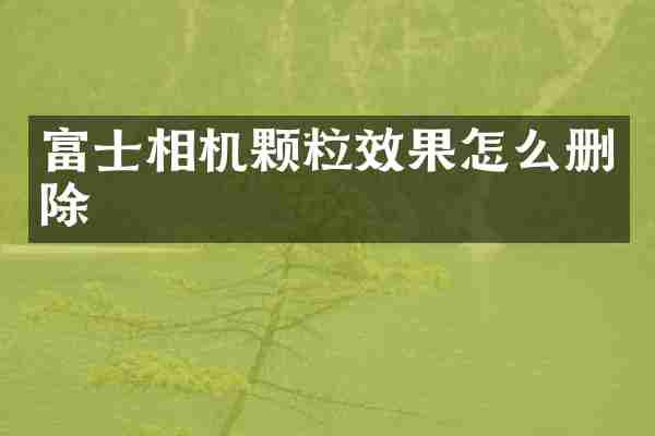 富士相机颗粒效果怎么删除