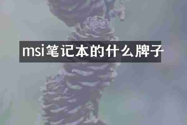 msi笔记本的什么牌子