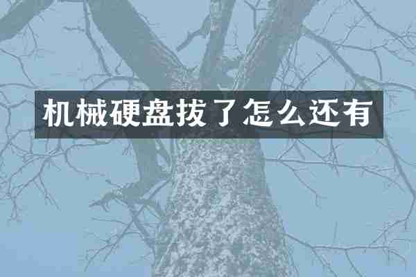 机械硬盘拔了怎么还有