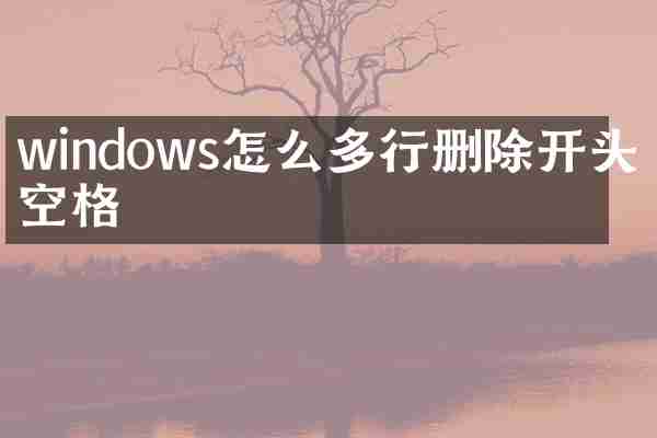 windows怎么多行删除开头的空格